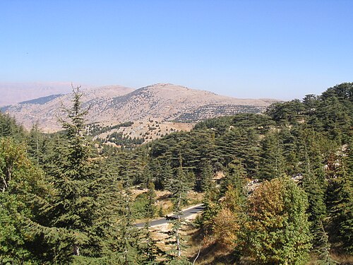 Al-Shouf Cedar Nature Reserve